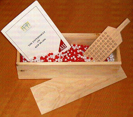 The Red Beads Experiment